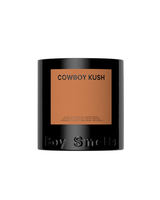 Boy Smells STANDARD CANDLE