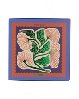 Paddywax JUMBO BOXED MATCHES