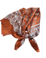 Dipped Shop VINTAGE PAISLEY SCARF