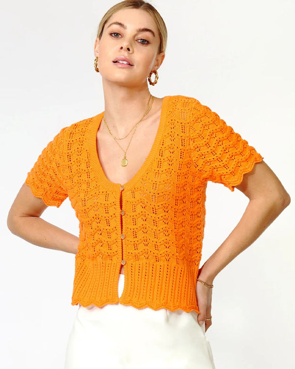Greylin Shanti Open Knit Cardigan In Orange